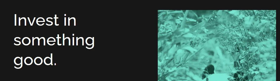 9e9c12bb62d173eee2bb335ca36d8e10e091bd36255358dfb89922734eed8165.png
