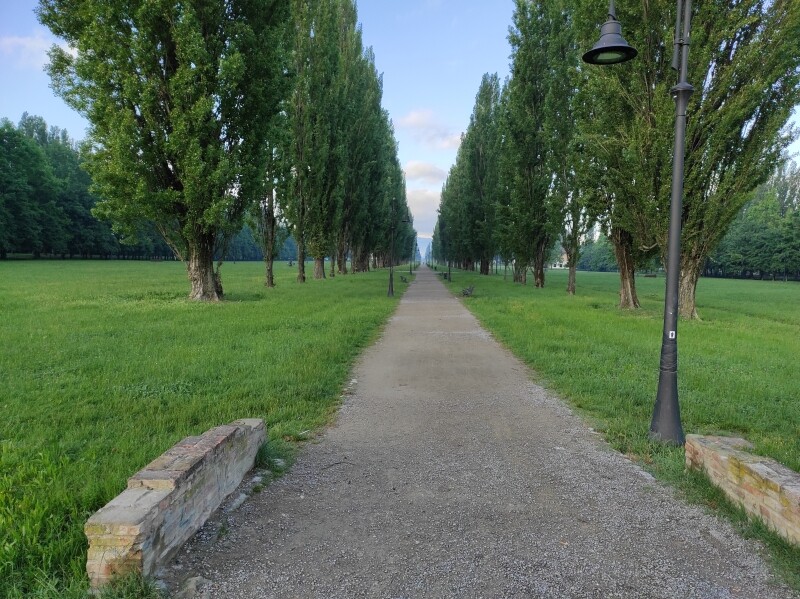 a52ca9ce12b01b47266219bf4ab0c4add5d615cad74cdd74a54d6587af8bafdd.jpg