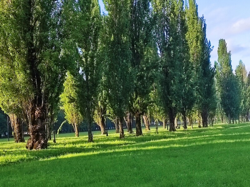82f9d9787dcaeb4df092011e03991ac3dcde83919f322c6a49a25f89bf111c4e.jpg
