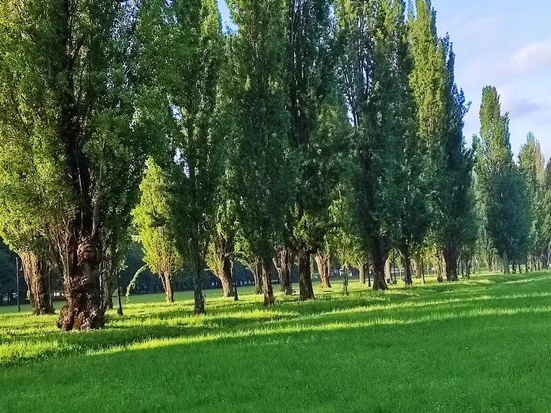 82f9d9787dcaeb4df092011e03991ac3dcde83919f322c6a49a25f89bf111c4e.jpg