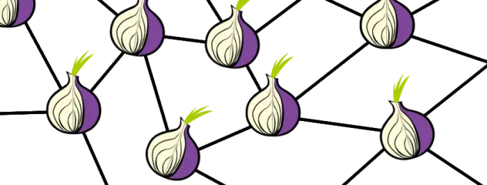 Tor onions stock - dogsbody technology