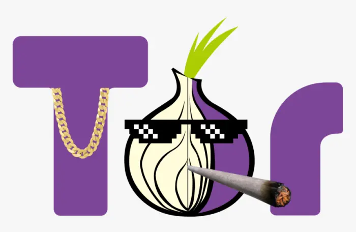 Tor browser logo stock - kindpng.com