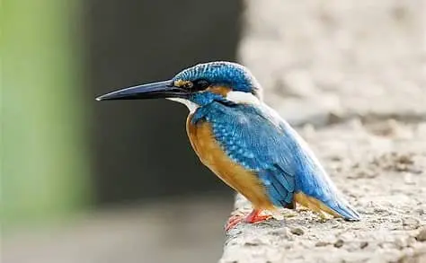 95a5a71a3eef6f4ec77179a8b8529b195a9a650d89c9a4dce2a7f75f2f0e69a8.jpg