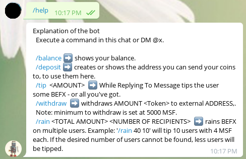RaindropBOT help command