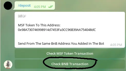 RaindropBOT check BNB transaction