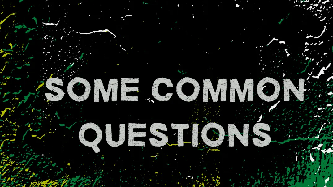 Q&A