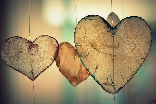 heartbeat, star