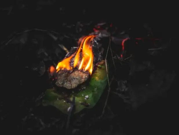Fire caused by interests.