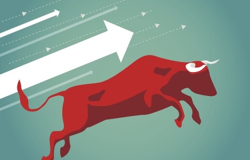 bull market stock photo - international adviser