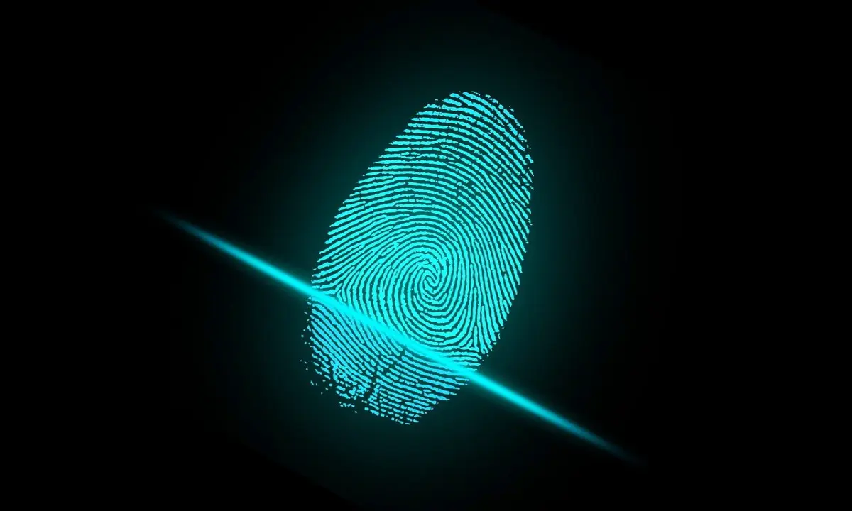 c8104e4436d8d88952dfaec0b2166d01563abfb36d2746d74a04eae58b10932d.jpg