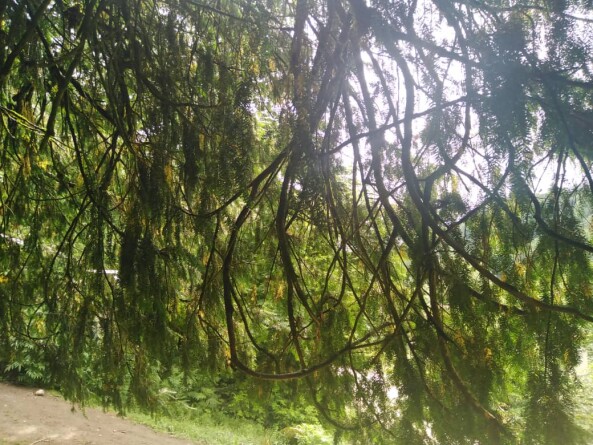 Story Of Cycling & Nature Hiking: Enigmatic Path to Pristine Waterfalls (2)