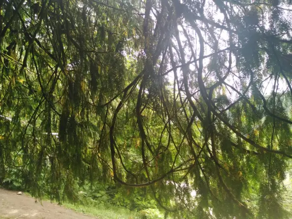 Story Of Cycling & Nature Hiking: Enigmatic Path to Pristine Waterfalls (2)