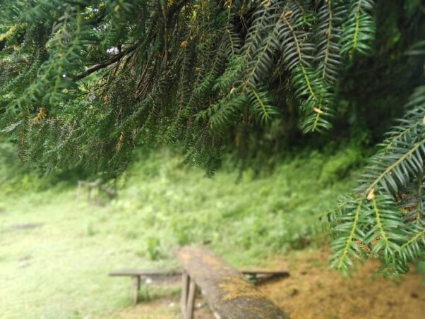 Story Of Cycling & Nature Hiking: Enigmatic Path to Pristine Waterfalls (2)