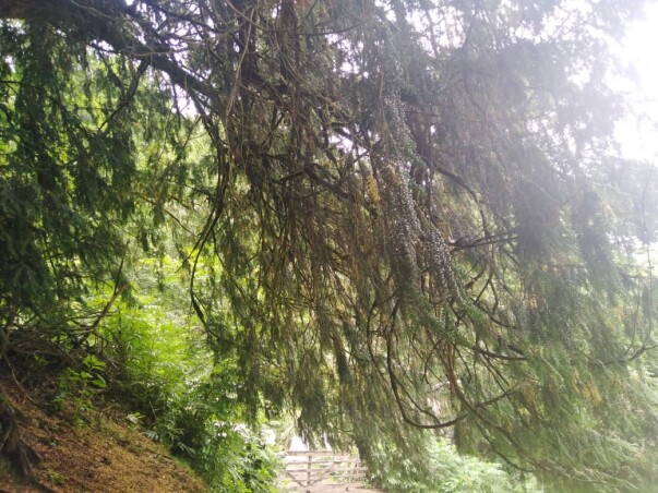 Story Of Cycling & Nature Hiking: Enigmatic Path to Pristine Waterfalls (2)