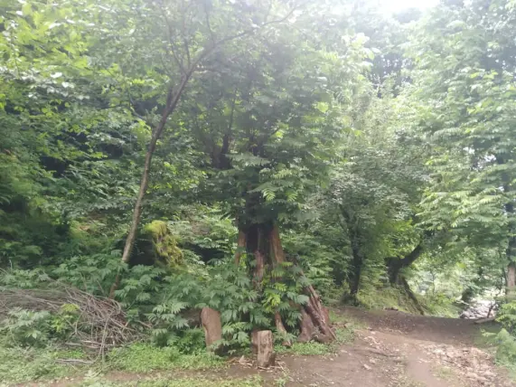 Story Of Cycling & Nature Hiking: Enigmatic Path to Pristine Waterfalls (3)