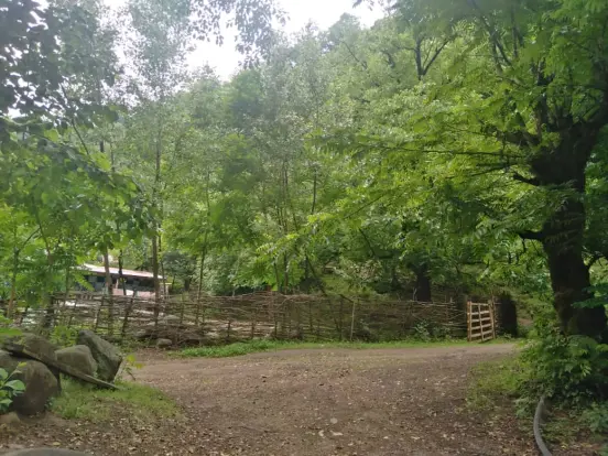 Story Of Cycling & Nature Hiking: Enigmatic Path to Pristine Waterfalls (3)