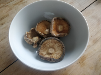 mushrooms dry