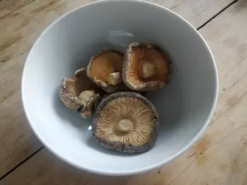 mushrooms dry