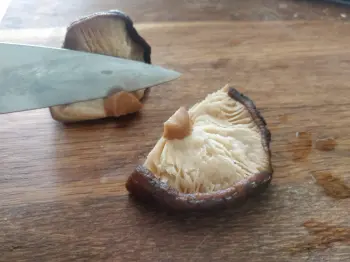 mushrooms cut