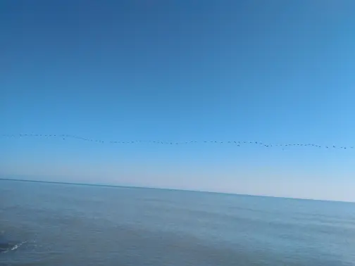 The Story of Cycling | As Migratory Birds Fly Over The Endless azure
