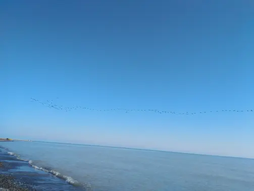 The Story of Cycling | As Migratory Birds Fly Over The Endless azure