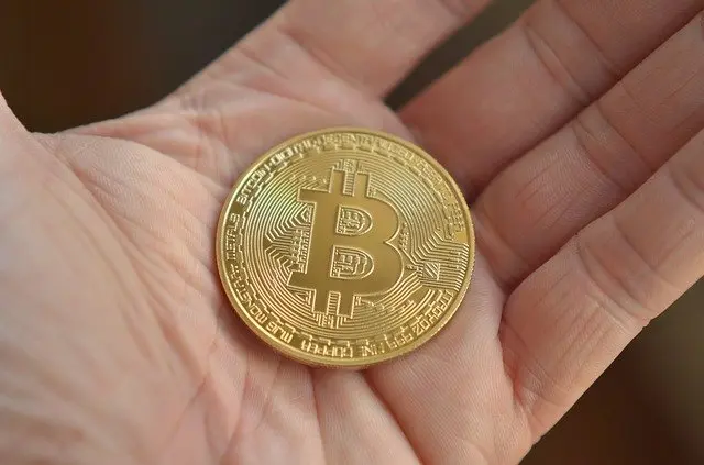 btc, bitcoin, currency, ownership