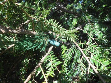 Devious hidden cache