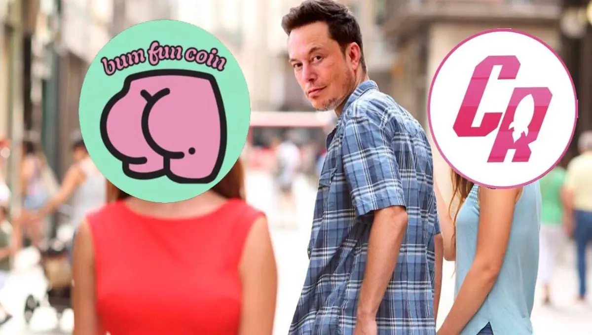 Elon Musks looks away from CR to stare at BUMFUN