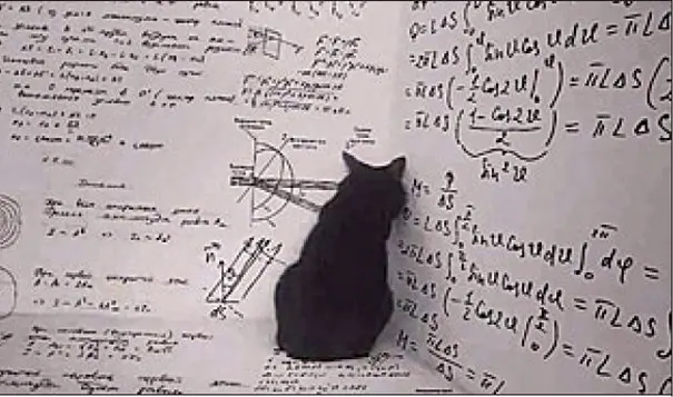 Schrodinger's cat - like a black hole in the corner of physics
