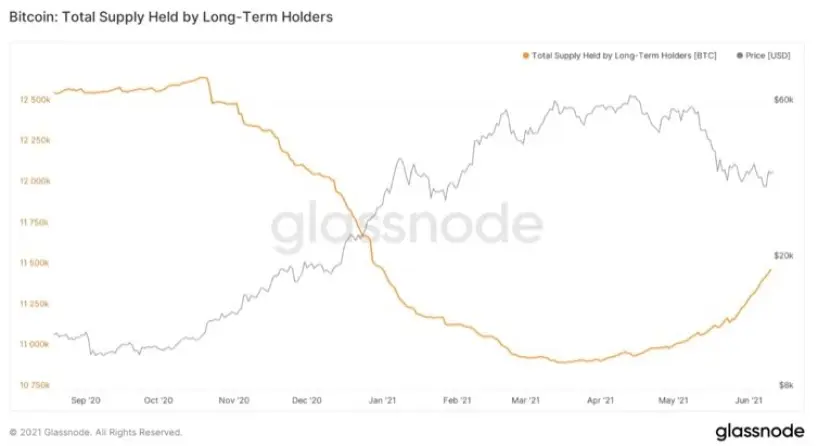 Long-term hodlers