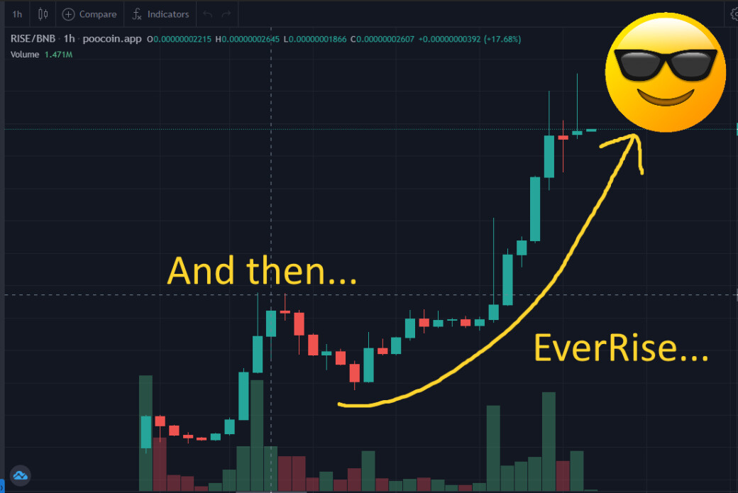 EverRise And Rise