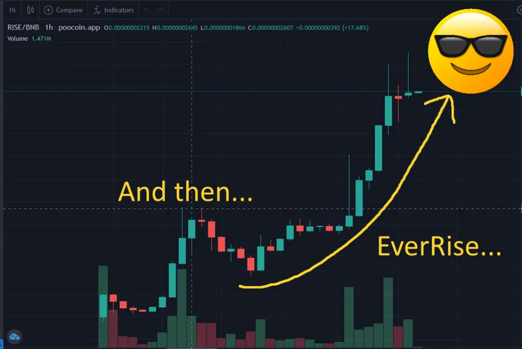 EverRise And Rise