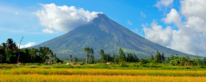 mayon