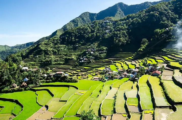 banawe