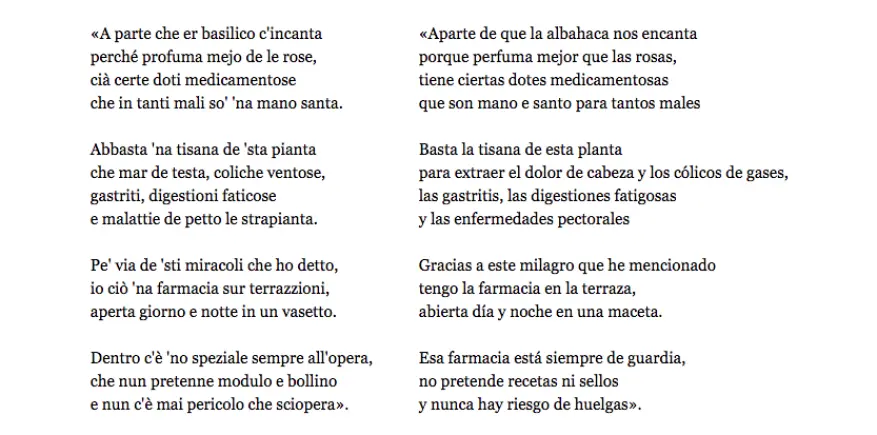 soneto