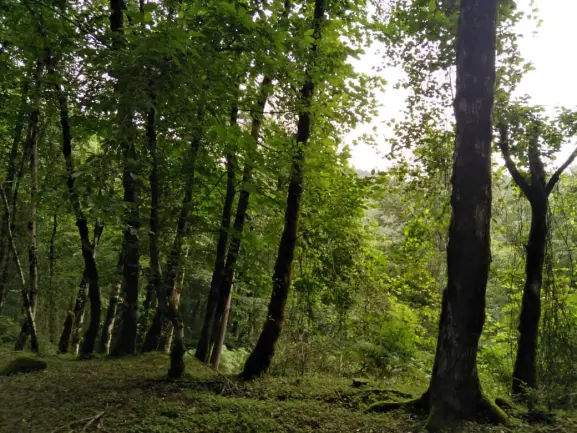 The Story of A Cycling Trip to The Unique Land of Kale Sara