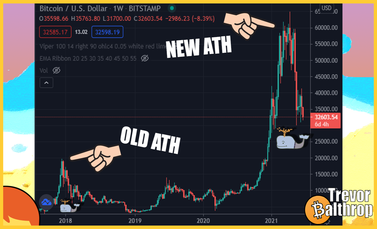 TREVOR BALTHROP BITCOIN INFLUENCER ETHEREUM LITECOIN DOGECOIN ETH BTC LTC DOGE $AUDIO AUDIUS AUDIUS.CO TREVORBALTHROP REDHEAD MUSIC ARTIST