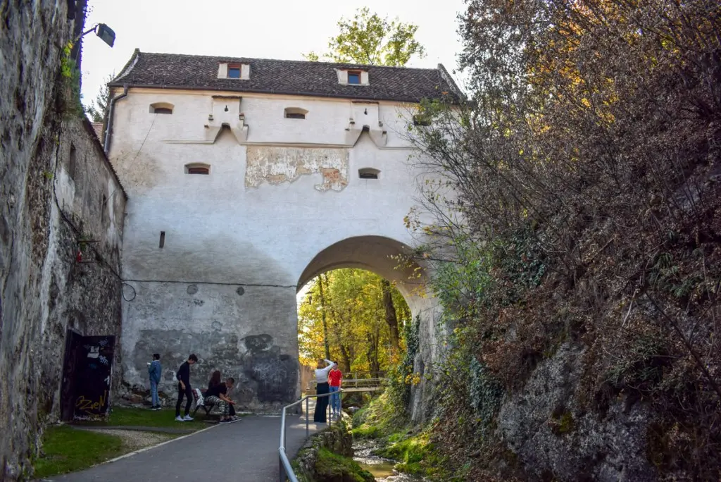 Graft Bastion