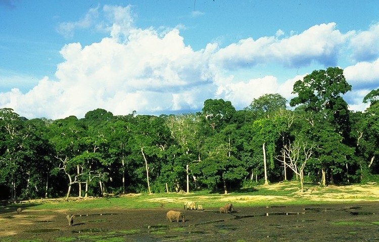 6f1ca2467c0aa038fd8bfd0decfcf62b728cd87d36781146a0001f47c401d3cc.jpg
