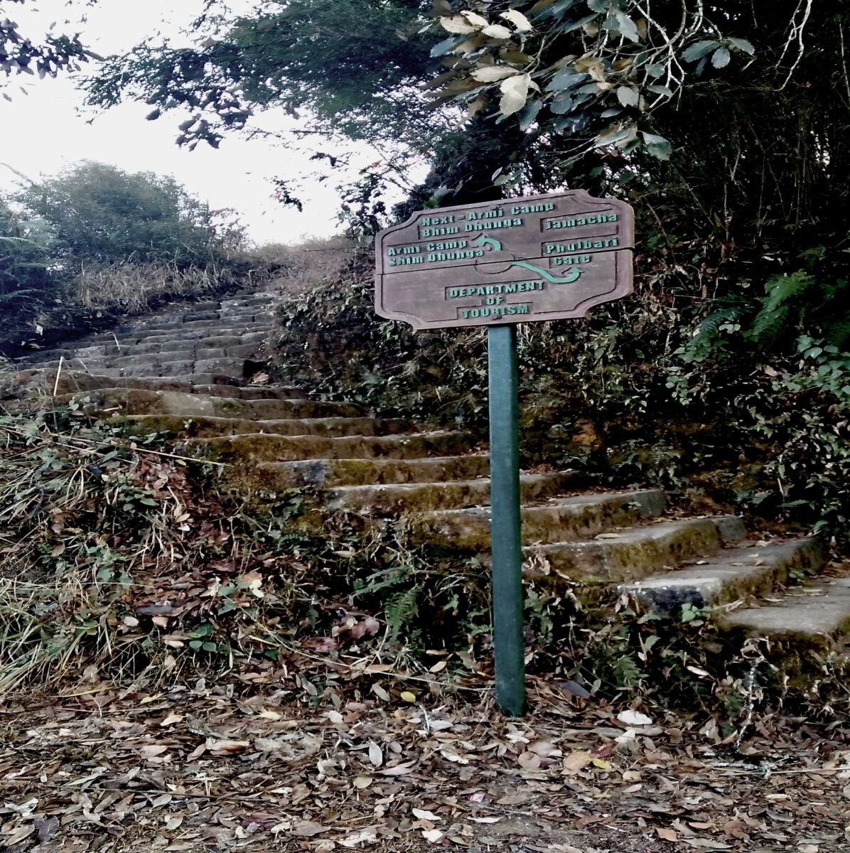 Way to Jamacho
