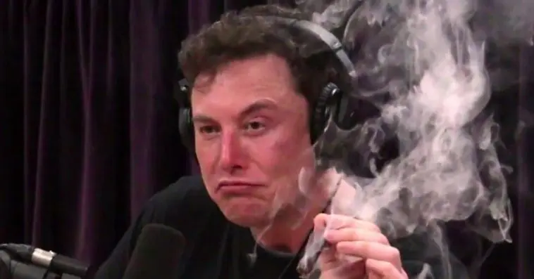 Elon Musk Trolls Bitcoin Bulls