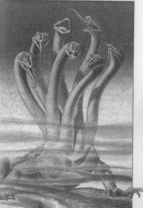 The Hydra by Philippe Mignon, Metamorphosis collection