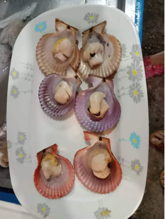 b6e8be964ba75c4bc448c35dd67f57cf27b31ba0743eb0ae9064271c74e6e63d.png