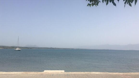 Petalidi