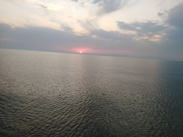 Dark Flying Sea-Bird, Sunrise & Beautiful Rock!
