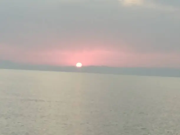 Dark Flying Sea-Bird, Sunrise & Beautiful Rock!