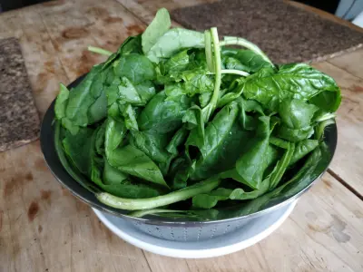 water spinach