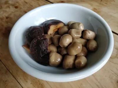 mushrooms together
