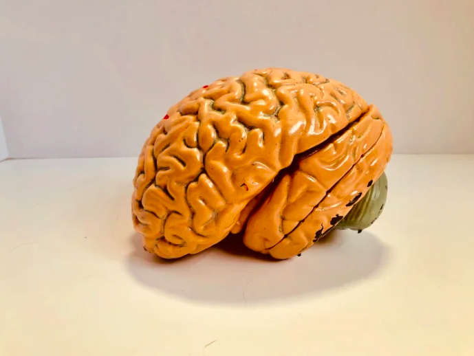 62402e8f78c50b0dabbd12233f56c88c82cad18e73486faab0b13d1772e1e72c.png