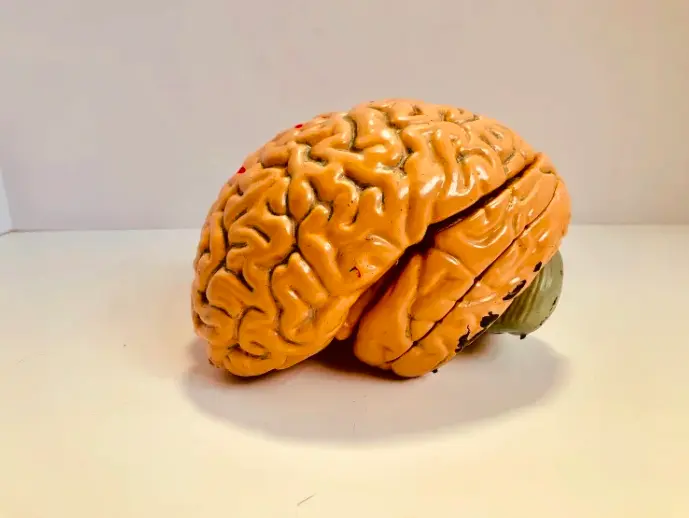 62402e8f78c50b0dabbd12233f56c88c82cad18e73486faab0b13d1772e1e72c.png